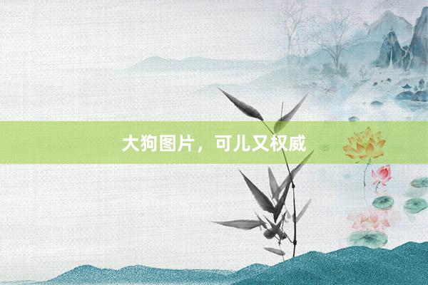 大狗图片，可儿又权威